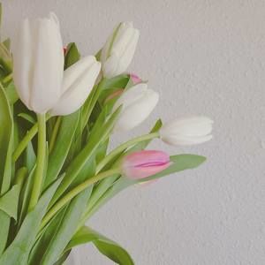 Meet your Posher, Hyeyeon